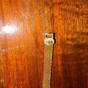 Gold Mesh Strap with Clasp